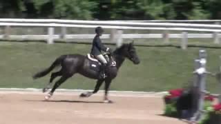 Video of S & L DOWNTOWN ridden by LANIE BRICKER from ShowNet!