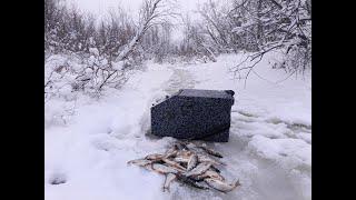 В ЭТОЙ МАЛЕНЬКОЙ РЕЧКЕ ОЧЕНЬ МНОГО РЫБЫ.ЗИМНЯЯ РЫБАЛКА НА МОРМЫШКУ.МОХТИК И СОРОГА.