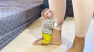 Poor Baby DORN Hug Mom's Feet Want Accompany Clean Floor