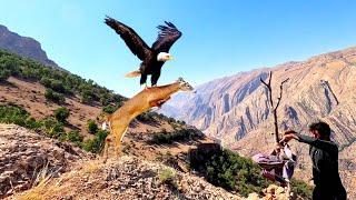 Nomads Solution to Prevent Eagles from Attacking Goats #IRAN