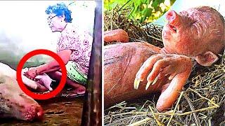 Farmer’s Pig Gives Birth To Human Baby, He Takes A Closer Look And Starts Crying