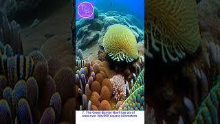 Ten facts pedia about Great Barrier Reef