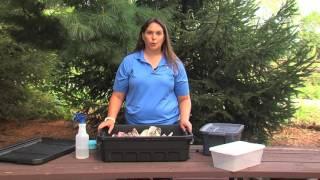 Changing The Soil In Your Worm Bin