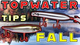 Early Fall Topwater Tips! (How To Choose The Right Bait For The Conditions)