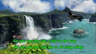 Let Your Love Flow - Bellamy Brothers Lyrics