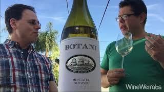 2019 Botani Old Vines Moscatel -- DO Malaga Jorge Ordóñez Selections Spanish White Wine