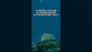 대부분 사람들이 모르는 바다 거북이의 특징 #shorts