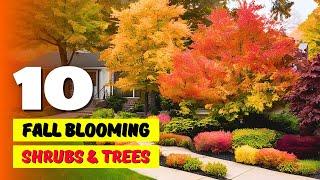 Top 10 Fall-Blooming Shrubs & Small Trees for Stunning Gardens!