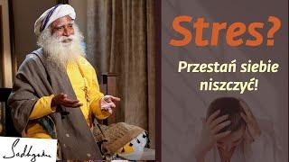 Stres? Masz to, co przyciągasz! | Sadhguru Polska