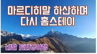 [네팔 트레킹7편] 마차푸차레 보고 하산하여 다시 향자곳 홈스테이