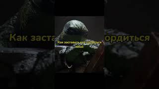 Последний ронин #черепашкининдзя #tmnt #ронин
