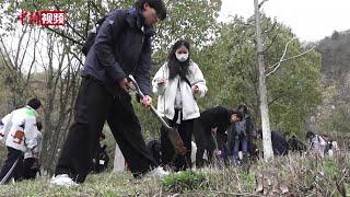 两岸青年公益植树活动在南京举行