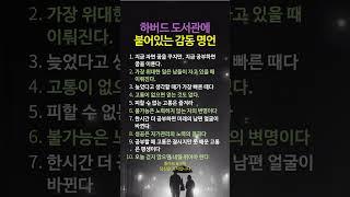 하버드 도서관에 붙어 있는 주옥같은 감동명언  #좋은글 #명언 #멋진글귀