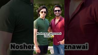 Jaan Nisar last  Episode 65 Actor Danish Taimoor Nosherwan Ghaznawai Real Life Facts#jaannisar