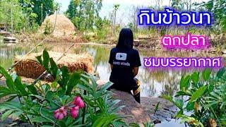 กินข้าวนา ตกปลา ชมบรรยากาศ / ตุ้มแพรว พาเพลิน EP.22