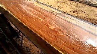 Sawmill Cutting Old  Texas Pecan Logs into Slabs with woodmill