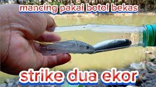 mancing ikan belanak pakai botol selalu ada strike @CAHBEJOCILACAP998