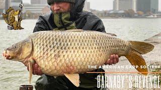 NEW PRODUCTS ON THE STORE - AMERICAN CARP SOCIETY