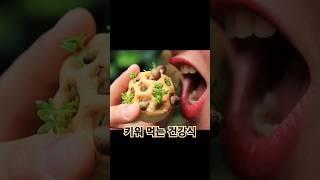 키워 먹는 건강식  #자연식 #건강관리