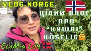 В гостях у Норвежця/Кушлі-подарунки від Підписниці/Nº1- 10.2024/EcoMia Life