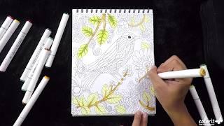 Time-lapse: Coloring a Bird From The Colors of Nature Coloring Book