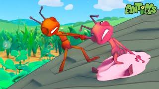 Sticky Stuck | 1 Hour Antiks Full Episodes | Funny Insect Cartoons for Kids