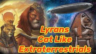 Lyrans / Laan Cat Like Extraterrestrials. Who Are They? Galactic History About Cat Humanoids￼ #cats