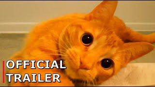 Official Trailer | Ginger The Spoiled Cat