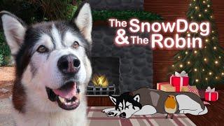 Old Husky Turns Into The Greatest Christmas Animation EVER!