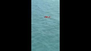 Man Survives Milton Clinging To A Cooler In The Gulf