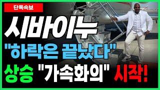 [시바이누 코인 전망] 하락은 끝났다! "5,000%" 상승 가속화의 시작!