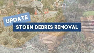 Update on Storm Debris Removal