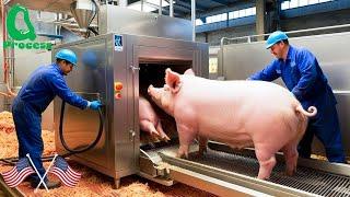 Shocking! How U.S.  Farmers Use Cutting Edge Tech to Raise and Process Pigs | Processing Factory