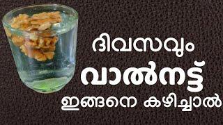 കുതിർത്ത വാൽനട്ട് ദിവസവും കഴിച്ചാൽ ||health benefits of walnut ||