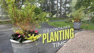 Planting the first summer containers of the year! 