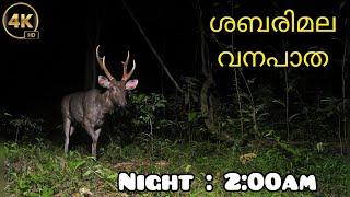 NIGHT DRIVE IN FOREST | sabarimala vlog | malayalam | #youtubevideos