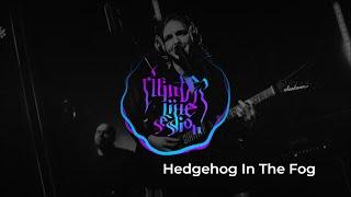 Winter Live Session #20 - Hedgehog In The Fog