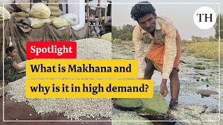 What is Makhana and why is it in high demand?