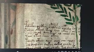 quartytypo solves the mystery of the Voynich Manuscript