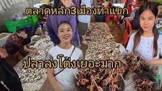 #เที่ยวลาว#food ตลาดหลัก3เมืองท่าแขก #บรรยากาศ ช่วงนี้ปลาเยอะมากถูกๆ#เมืองท่าแขก #แขวงคำม่วน #สปปลาว