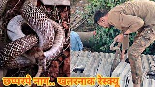 ऐसे रेस्क्यू खतरनाक हो सकते है..तजुर्बा जरूरी है.. Cobra rescued from the roof..