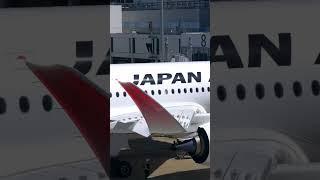 Japan Airlines Has a BOLD New A350 Strategy...