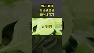 림프계에 최고로 좋은 음식 3가지!