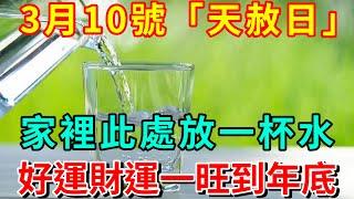 風水大師偷偷洩露天機：3月10號「天赦日」，家裡此處放一杯水，好運財運一旺到年底！再忙再有錢也要看看！| 好運蓮蓮 #佛教 #易经 #運勢 #風水 #正能量 #財運 #命理 #人生感悟