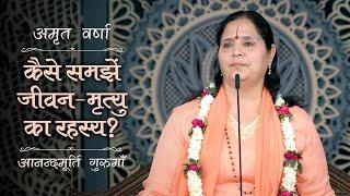 कैसे समझें जीवन-मृत्यु का रहस्य? | AV Ep 2437 | Daily Satsang | 20 October 2024 | Anandmurti Gurumaa