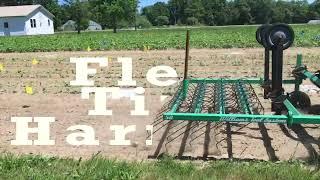 Flex-tine Harrows: Testing the Williams, Tiny Treffler, Two Bad Cats, Terrateck and Johnny's Rake