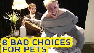 8 Bad Choices For Pets || CopyCatChannel