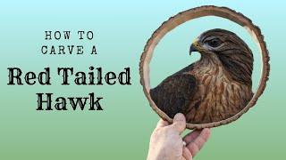 Hand Carved Red Tailed Hawk Tutorial