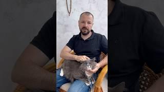 У кота Васи из Сочи начались проблемы с почками.