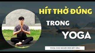 Cách Hít Thở Đúng Trong Yoga Giúp Khoẻ Mạnh Sống Lâu Không Lo Bệnh Tật | Gia Đình Yoga